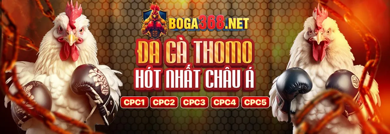 Chương trình VIP OK456 với các đặc quyền độc quyền